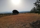 Land suitable for development for sale on España, Lorca, ref: TR328750 photo