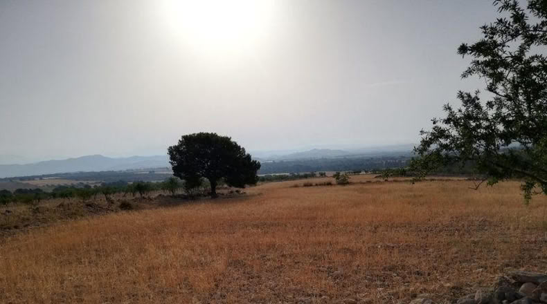 Murcia - Lorca - 23239m2
