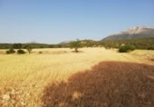 Land suitable for development for sale on España, Lorca, ref: TR328750 photo
