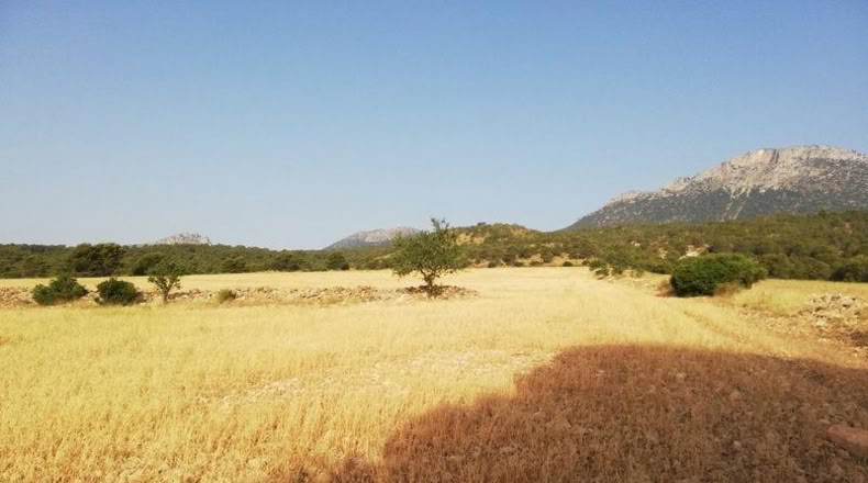 Murcia - Lorca - 23239m2