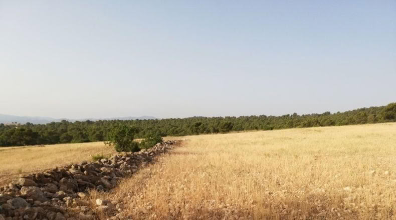 Murcia - Lorca - 23239m2