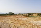 Land suitable for development for sale on España, Lorca, ref: TR328750 photo