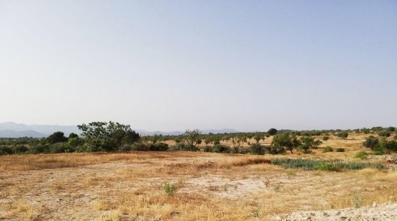 Murcia - Lorca - 23239m2