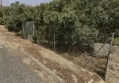 Sòl urbà en venda a la España, Ituero y Lama, ref.: TR363046 foto