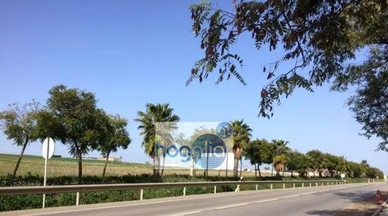 Севилья - Alcalá del Río - 120m2