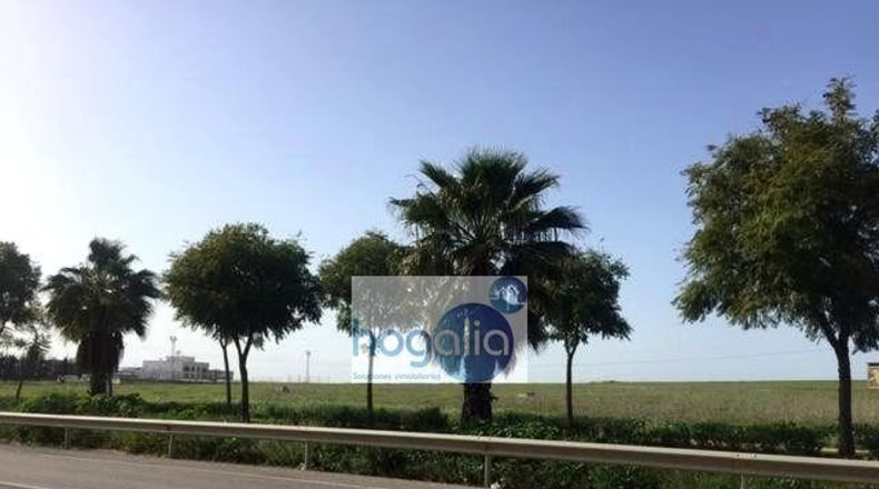 Севилья - Alcalá del Río - 120m2