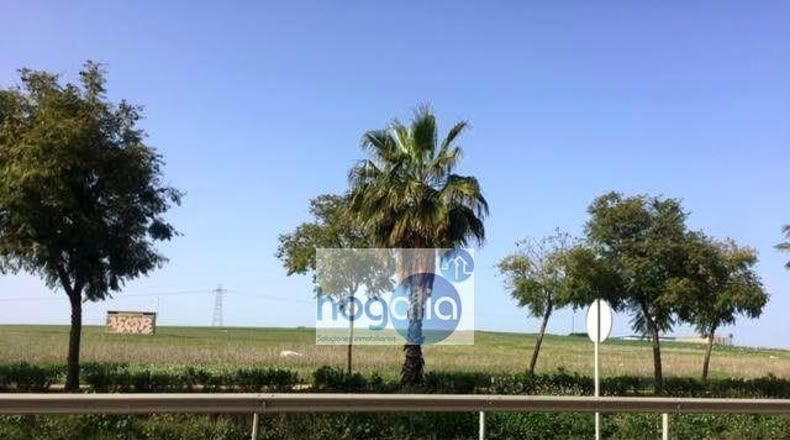 Севилья - Alcalá del Río - 120m2