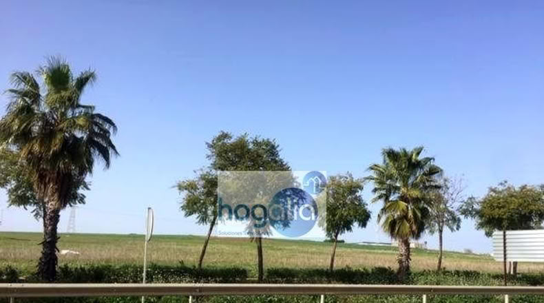 Севилья - Alcalá del Río - 120m2