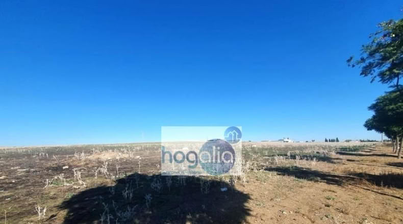 Севилья - Alcalá del Río - 120m2