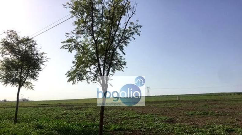 Севилья - Alcalá del Río - 120m2