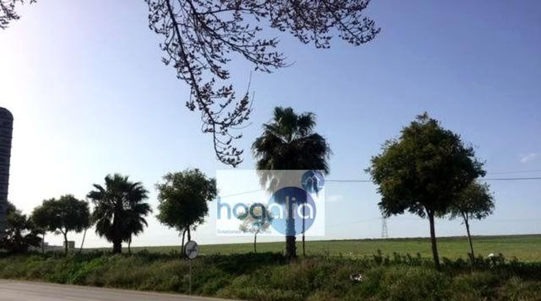 Севилья - Alcalá del Río - 120m2