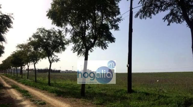 Севилья - Alcalá del Río - 120m2