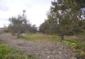 Terreny no urbanitzable en venda a la España, Calasparra, ref.: TR119446 foto
