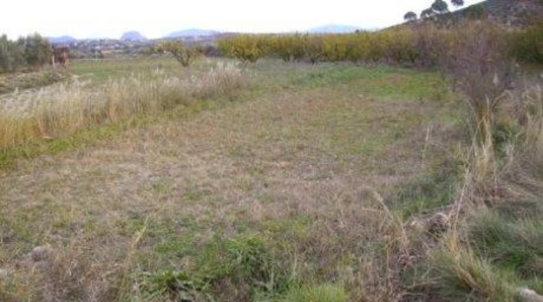 Múrcia - Calasparra - 2173m2