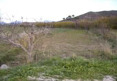Terreny no urbanitzable en venda a la España, Calasparra, ref.: TR119446 foto