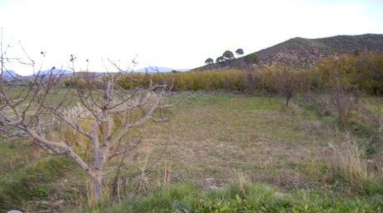 Múrcia - Calasparra - 2173m2