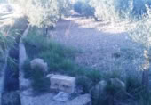 Terreny no urbanitzable en venda a la España, Calasparra, ref.: TR119446 foto