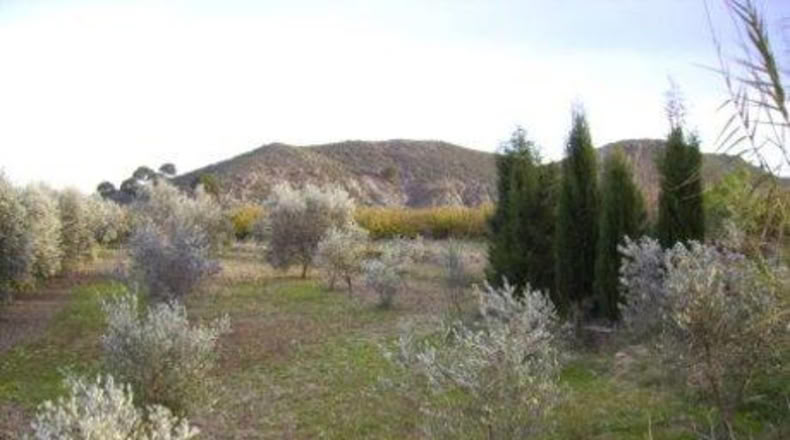 Múrcia - Calasparra - 2173m2