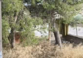 Casa de campo con terreno en venta en la España, Campos del Río, ref: TR294737 foto