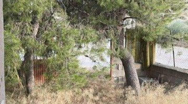 Murcia - Campos del Río - 525m2