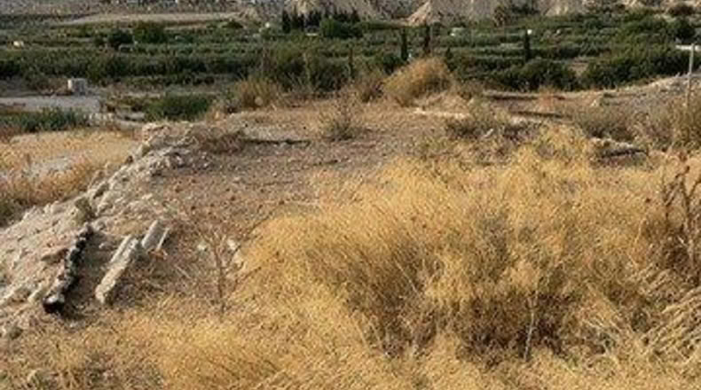 Murcia - Campos del Río - 525m2