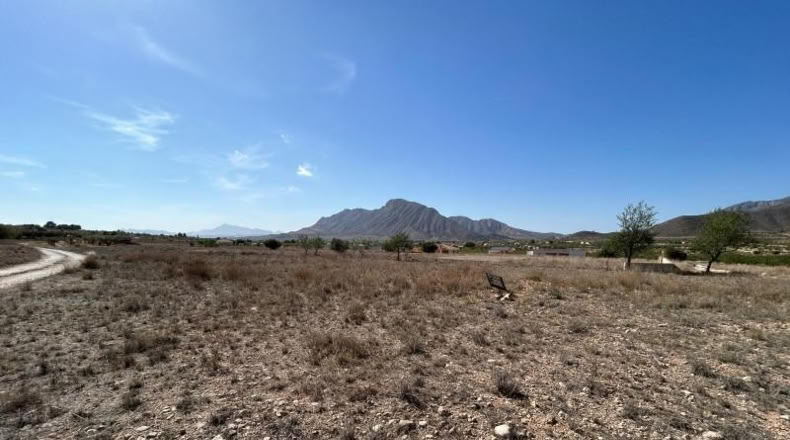 Alicante - Oriola - 2993m2