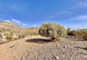 Terreno no urbanizable en venta en la España, Orihuela, ref: TR130374 foto