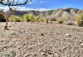 Terreno no urbanizable en venta en la España, Orihuela, ref: TR130374 foto