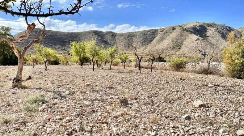 Alicante - Oriola - 2910m2