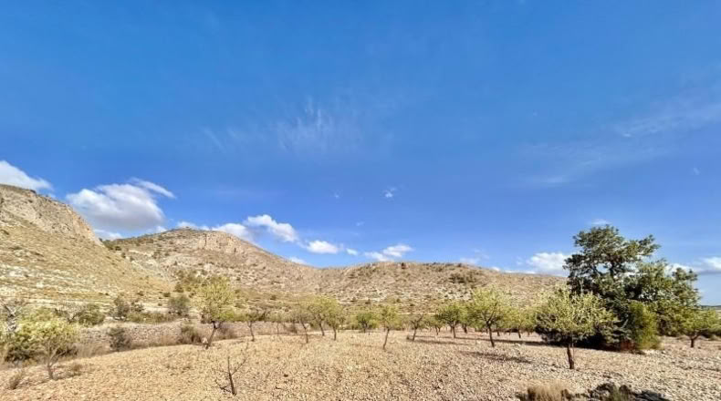 Alicante - Oriola - 2910m2