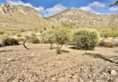 Terreno no urbanizable en venta en la España, Orihuela, ref: TR130374 foto