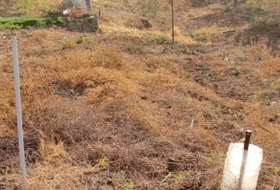Telde 329&nbsp;m² 