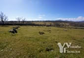 Terreno no urbanizable en venta en la España, Campillo de Ranas, ref: TR128678 foto