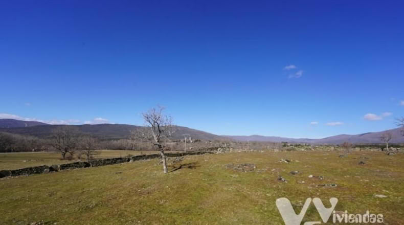 Guadalajara - Campillo de Ranas - 3779m2