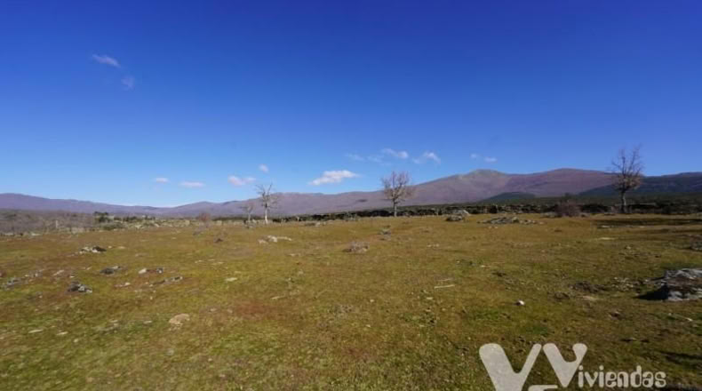 Guadalajara - Campillo de Ranas - 3779m2