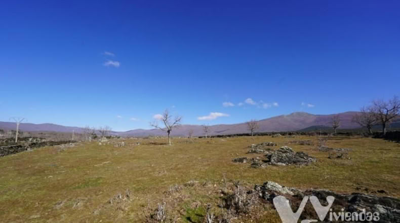 Guadalajara - Campillo de Ranas - 3779m2
