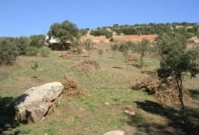 Navahermosa 596&nbsp;m² 