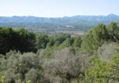 Terreny no urbanitzable en venda a la España, la Vall d'Alba, ref.: TR121905 foto