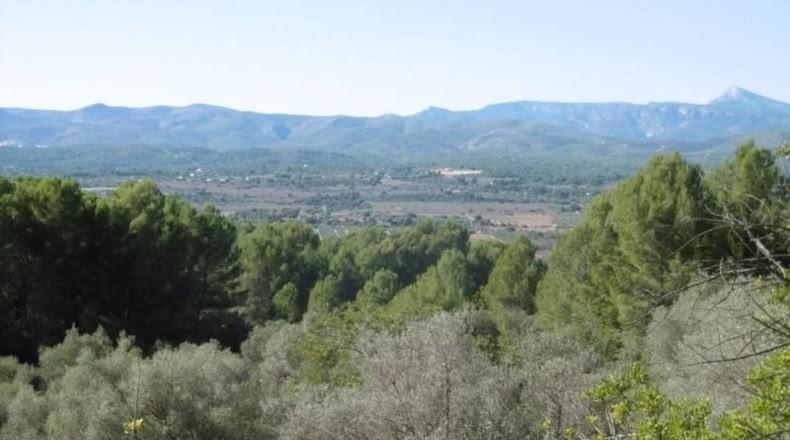 Castellón - Vall d'Alba - 12117m2