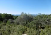 Terreny no urbanitzable en venda a la España, la Vall d'Alba, ref.: TR121905 foto