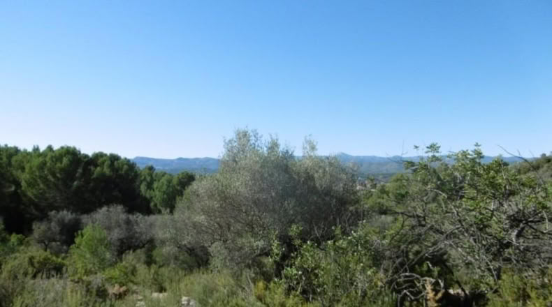 Castellón - Vall d'Alba - 12117m2