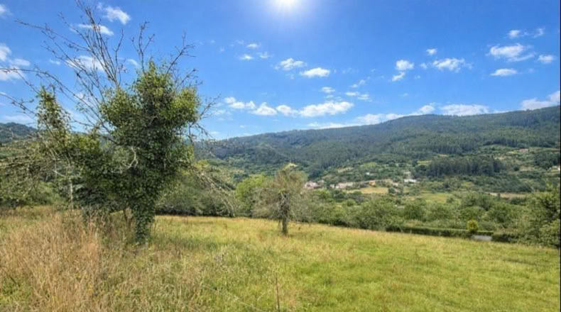 Asturias - Villaviciosa - 3960m2
