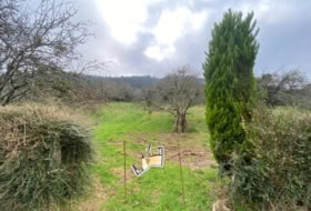 Foto 8