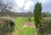 Terreny no urbanitzable en venda a la España, Villaviciosa, ref.: TR128121 foto