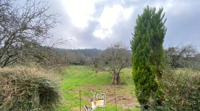 Asturias - Villaviciosa - 3960m2