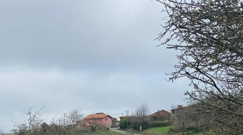Asturias - Villaviciosa - 3960m2