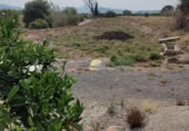 Terreny no urbanitzable en venda a la España, Sagunt, ref.: TR270150 foto