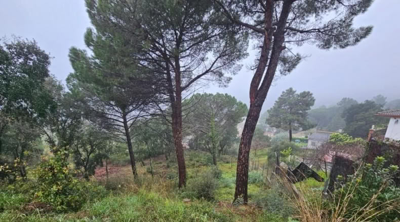 Gerona - Riudarenes - 808m2