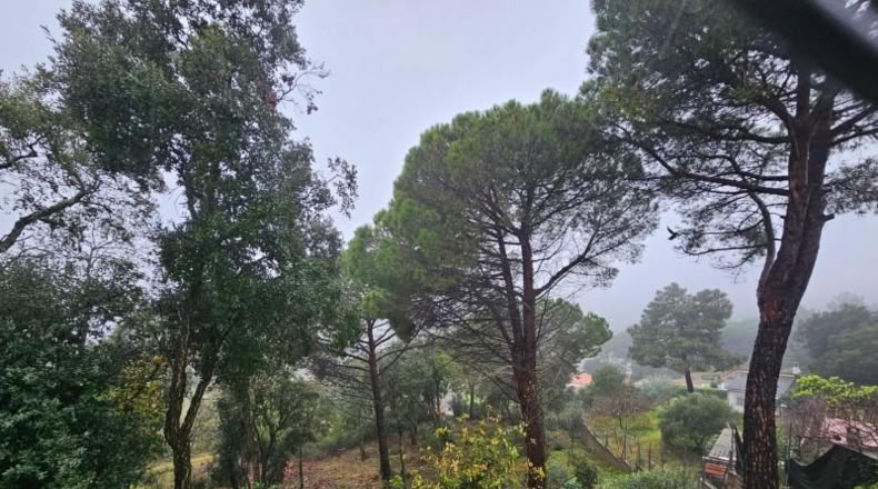 Gerona - Riudarenes - 808m2