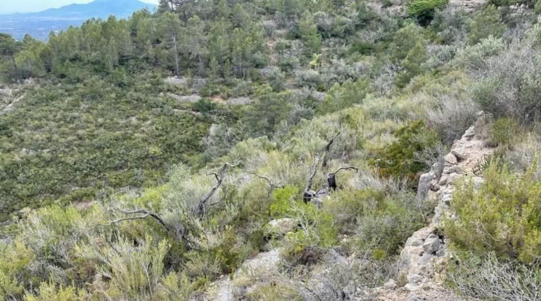 Tarragona - Tortosa - 16491m2
